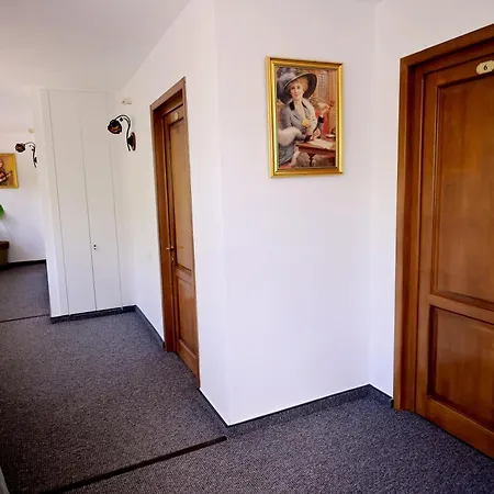 Pensiunea Casa Doamnei Voronet-3